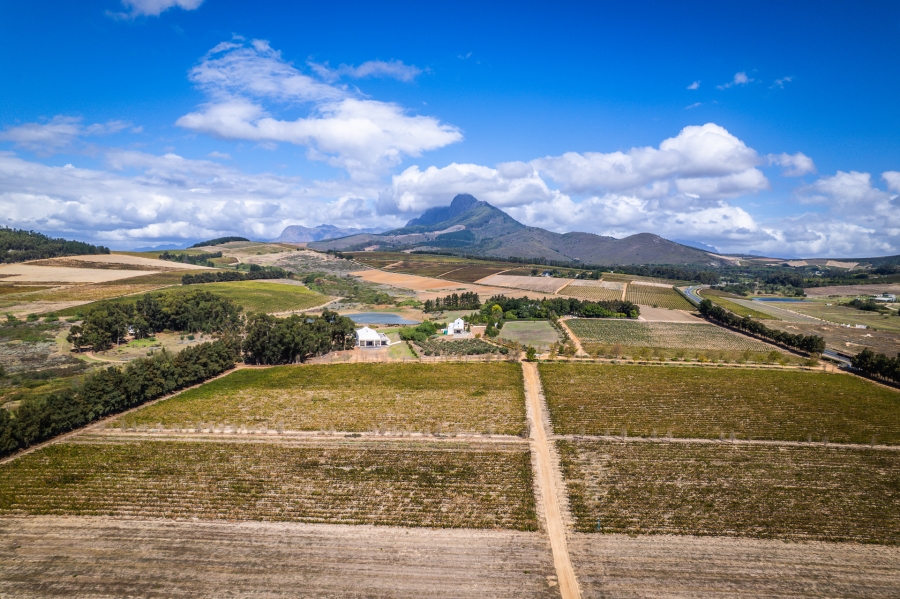 0 Bedroom Property for Sale in Klapmuts Western Cape